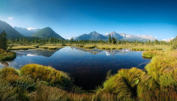 Comment organiser une visite des temples antiques de Palmyre, Syrie?