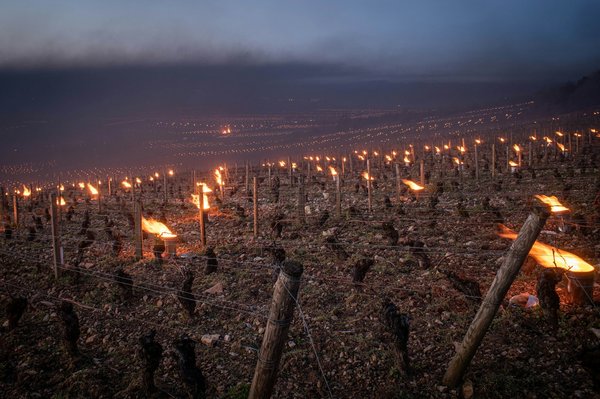 Comment découvrir les traditions viticoles de Tokaj, Hongrie : visites de caves et dégustations ?